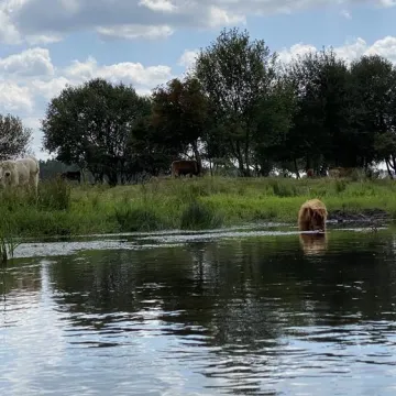 ERA Travel zaprasza na spływy kajakowe