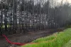 [WIDEO] Wciąż dochodzi do pożarów w lasach w pow. radomszczańskim