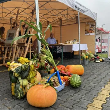 Kleszczowskie dożynki