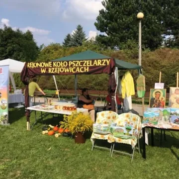 Dzień Organizacji Pozarządowych w Radomsku