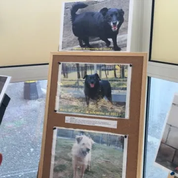 Finał akcji „Podaruj seniorowi domek”