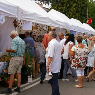 Dożynki Województwa Łódzkiego w Radomsku