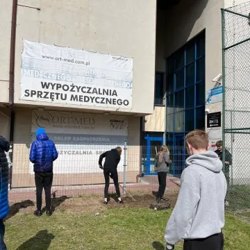 Przy „ekonomiku” w Radomsku powstaje ogród kieszonkowy