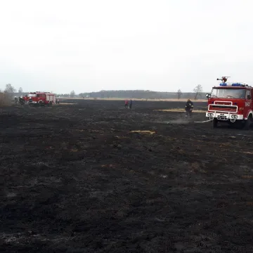 Spłonęły łąki i nieużytki rolne