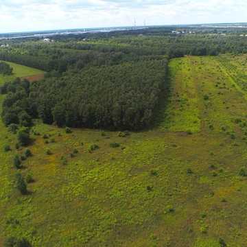 Wyłoniono wykonawców rozbudowy strefy inwestycyjnej w Radomsku. To inwestycja za ponad 60 mln złotych!