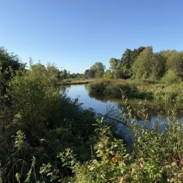 Wielkie sprzątanie w Przedborzu. Pilica odzyskała blask