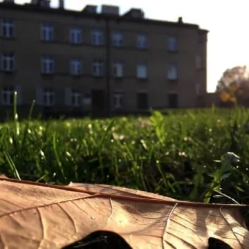 Weekendowe warsztaty plenerowe