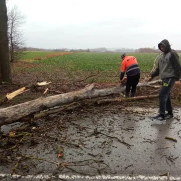[AKTUALIZACJA] Załamanie pogody w pow. radomszczańskim. Interweniują strażacy