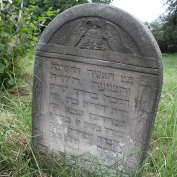 Kirkut odkrywa swoje tajemnice