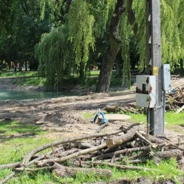 Postęp prac rewaloryzacyjnych w parku Świętojańskim [zdjęcia i film]