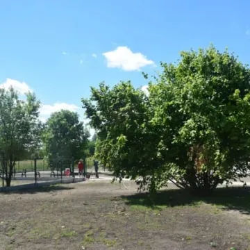 Powstaje budżetowy park na Wymysłówku 