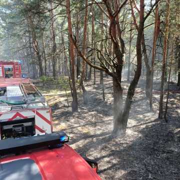 Płonie las przy drodze Radomsko-Szczepocice Rządowe