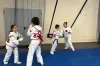 Karatecy Randori Radomsko szlifowali formę na zgrupowaniu „ARI” Klub Karate Kyokushin