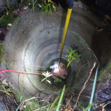 Strażacy uratowali psa i lisa uwięzionych w studni