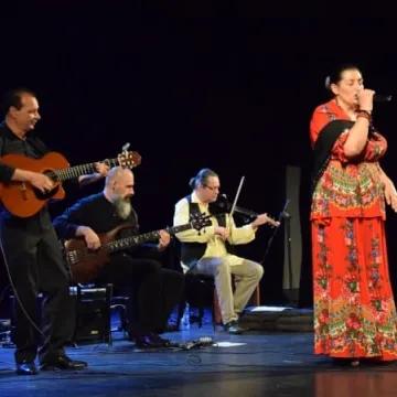 Kultura romska w MDK