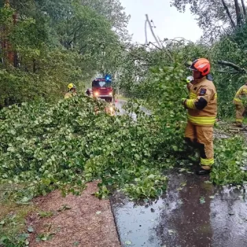 [WIDEO] Potężna nawałnica nad Radomskiem. Strażacy już w akcji