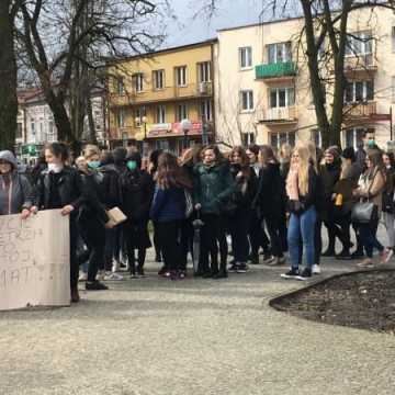 Młodzieżowy strajk klimatyczny w Radomsku