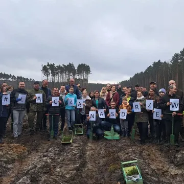 Akcja „Łączą nas Drzewa” w Radomsku