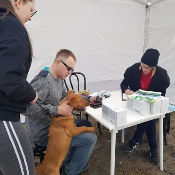 W schronisku w Radomsku bezpłatnie czipowano zwierzęta