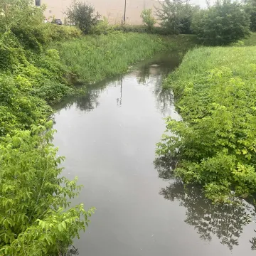 Radomka równo z brzegiem, ulica Reymonta zamknięta