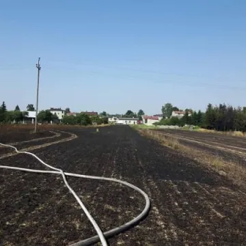 Ciężarówka spłonęła na polu