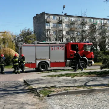 Uderzył w słup oświetleniowy, po czym uciekł z miejsca zdarzenia