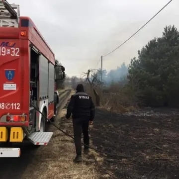 Pożar poszycia leśnego