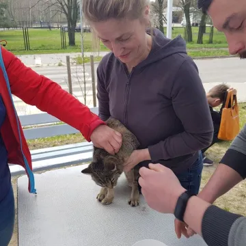 W schronisku w Radomsku bezpłatnie czipowano zwierzęta