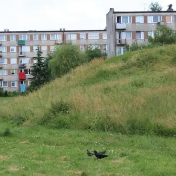 Zarośnięty „Wielorybek” nie zachęca