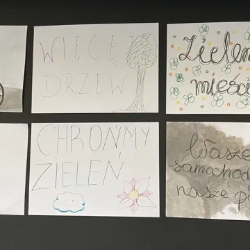 Zielone przystanki oraz rower miejski. Młodzież ma pomysły na poprawę klimatu w Radomsku