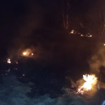 Koszty gaszenia pożarów traw liczone w tysiącach złotych