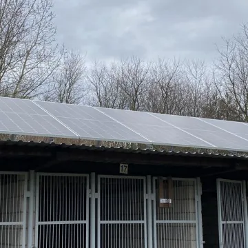 Ekologiczne inwestycje w schronisku dla bezdomnych zwierząt w Radomsku