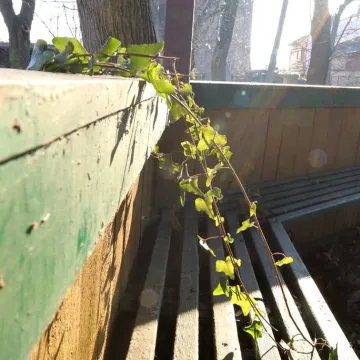 Miasto odebrało klucze do „Kinemy”. Jak budynek wygląda w środku?