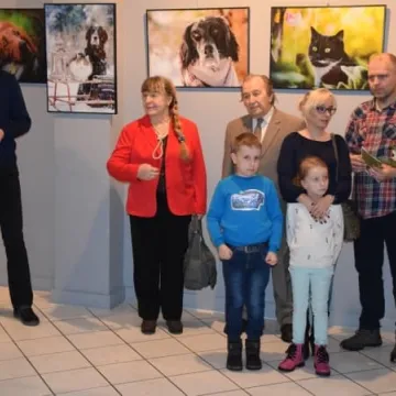 Cztery łapy w obiektywie 