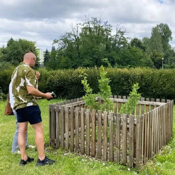 „Iga” – takie imię nosi od dziś dąb w Radomsku. To potomek dębu „Bartek”