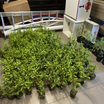 Oddali puszki, otrzymali sadzonki i zioła