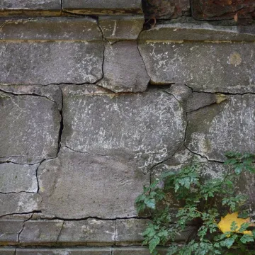 Pałac i natura w obiektywie