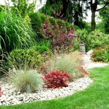 Radomsko w kwiatach i zieleni 