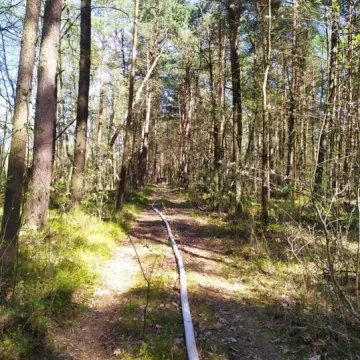 W Myśliwczowie palił się hektar poszycia leśnego