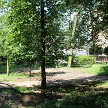 Postęp prac rewaloryzacyjnych w parku Świętojańskim [zdjęcia i film]