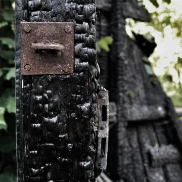 Zdobyli fotograficzne szlify