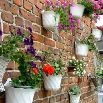 Radomsko w kwiatach i zieleni 