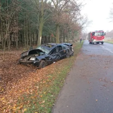 W kierunku Brudzic uderzyła w drzewo