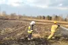 [WIDEO] Pierwszy pożar traw w tym roku w powiecie radomszczańskim. Interwencja w Skrzypcu