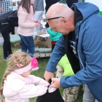 Szklana niedziela w Parku Solidarności