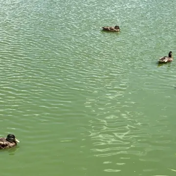 Dwa stawy w Strzałkowie przejdą renowację. Będzie estetycznie i funkcjonalnie