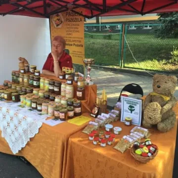 Dni Radomska 2016: Niedzielny Festiwal Smaków