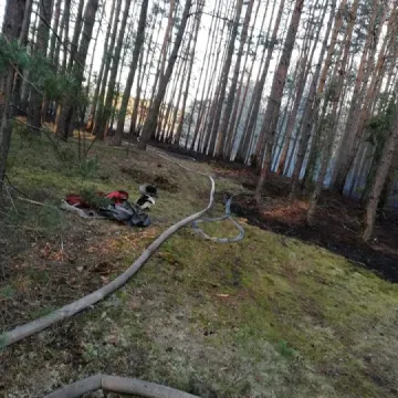 Pożar lasu w Małej Wsi