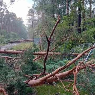 [WIDEO] Potężna nawałnica nad Radomskiem. Strażacy już w akcji