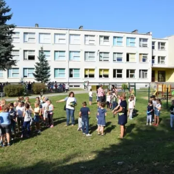 350 sadzonek dębów od PGK